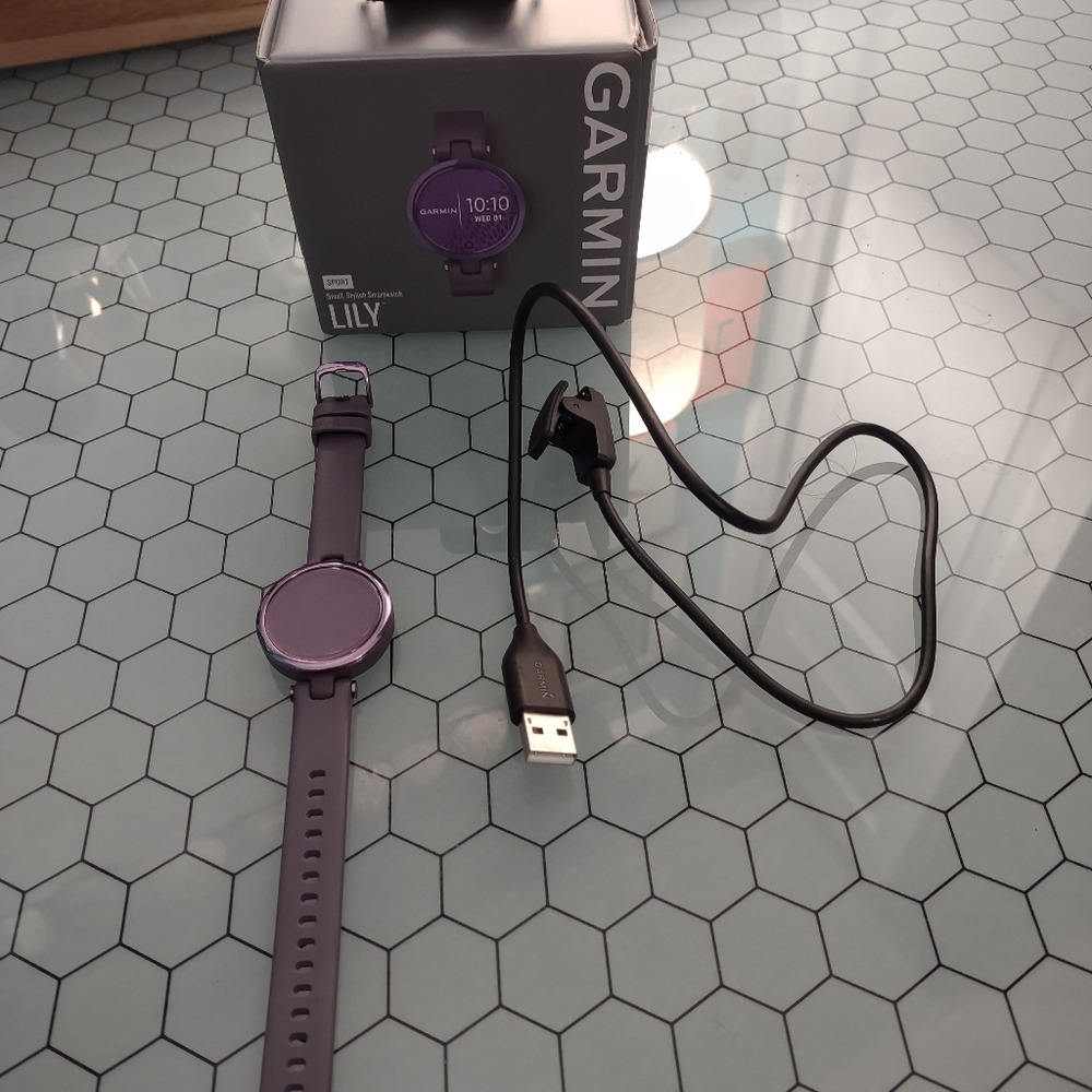 Garmin Lily